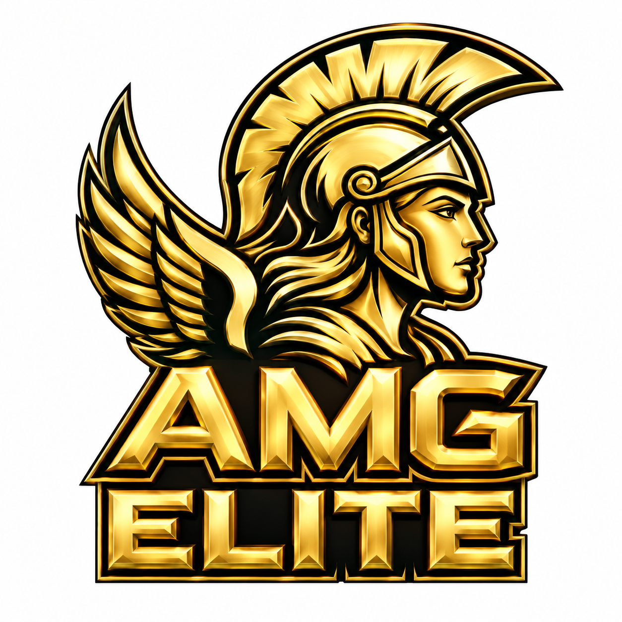 Team Logo